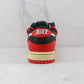 Designer NK DUNK LOW RETRO XD J21