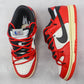 Designer NK DUNK LOW RETRO XD J21