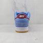 Designer NK SB Zoom Dunk Low DQ4040-400