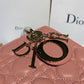 DI Small Lady Bag Gold Toned Hardware Sorbet Pink For Women 8in/20cm CD