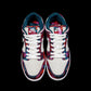 VO -Parra x SB Dunk Low