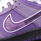 VO -Concepts Purple Lobster