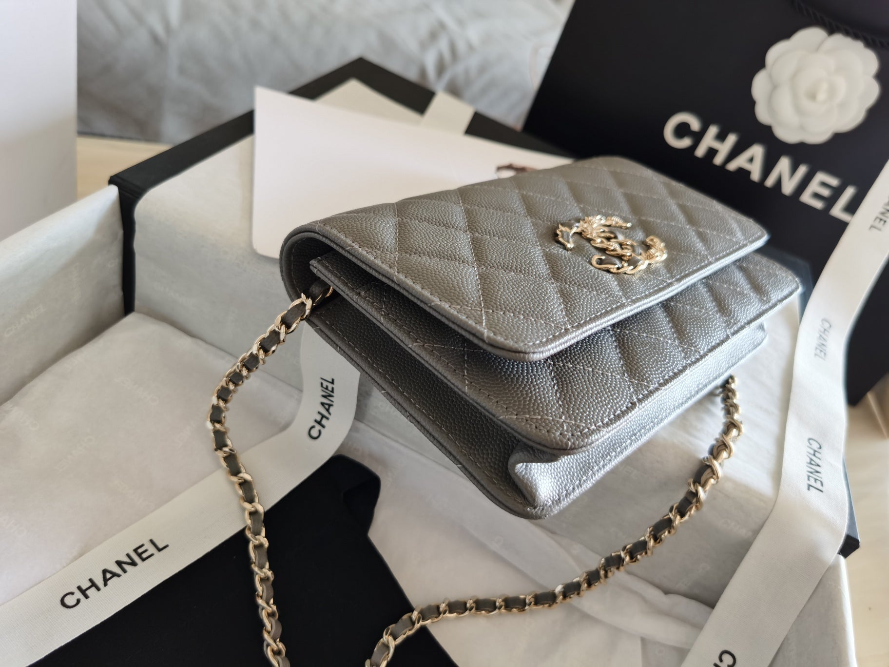 ChanelMini Flap Bag Grey For Women 7.2in/18.5cm