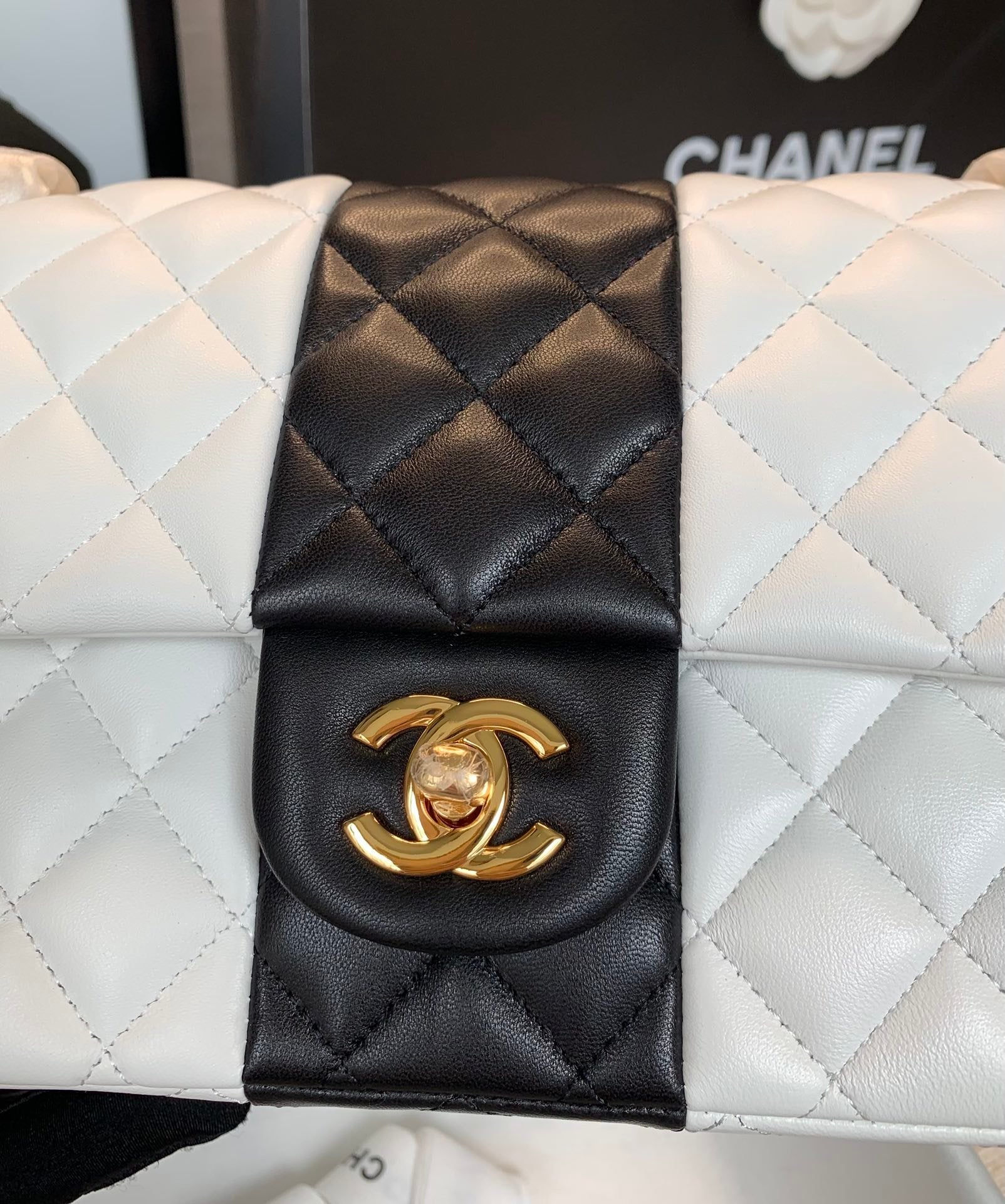 ChanelMini Flap Bag White For Women 9.8in/25cm