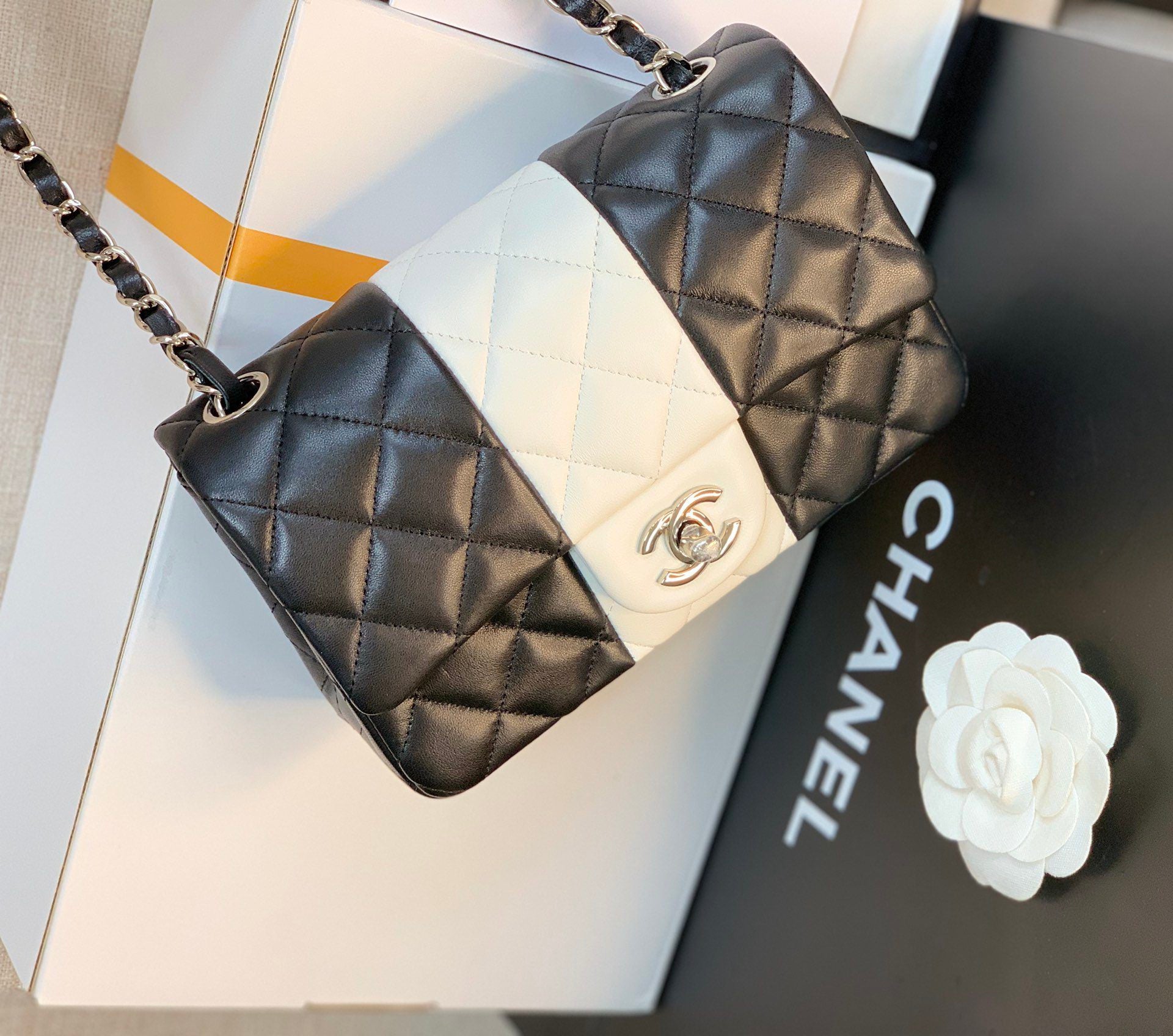 ChanelMini Flap Bag Black For Women 7.8in/20cm