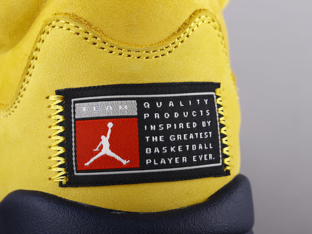 VO -AJ5 Michigan black and yellow