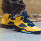 VO -AJ5 Michigan black and yellow