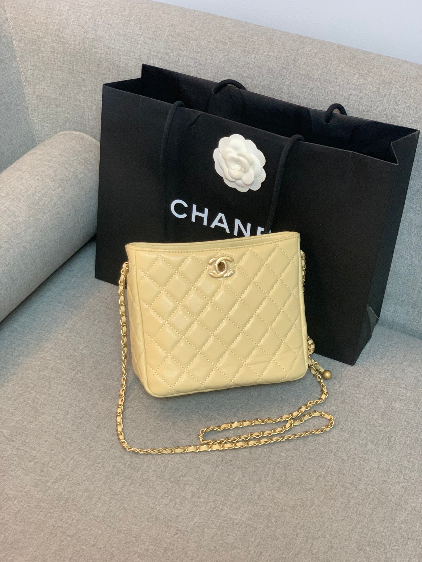 ChanelHobo Handbag Beige Bag For Women 16cm/6in