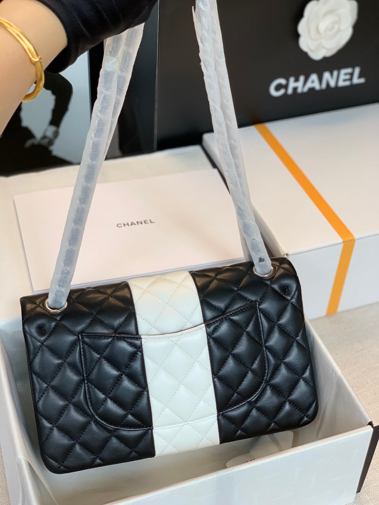 ChanelMini Flap Bag Black For Women 7.8in/20cm