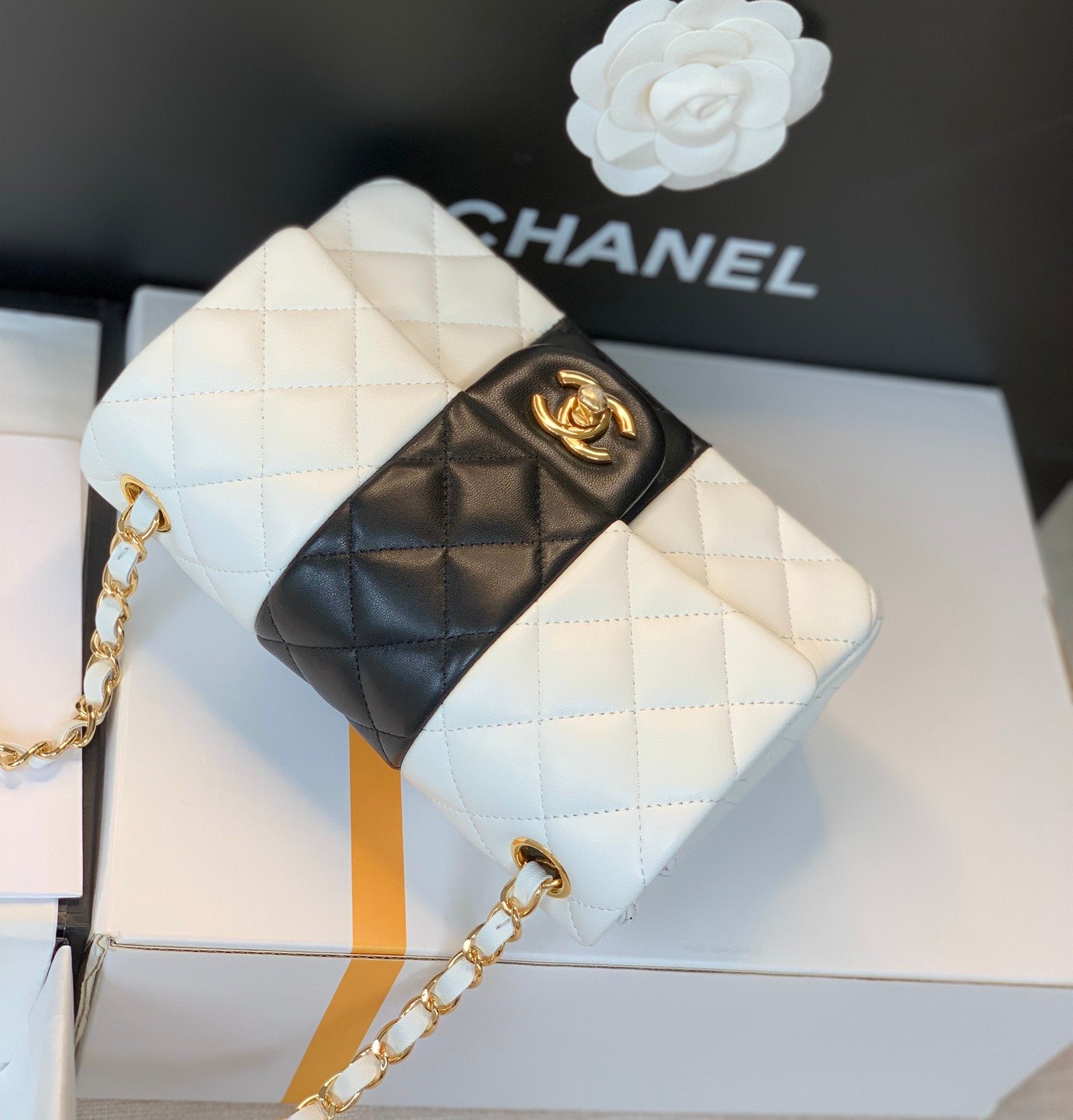 ChanelMini Flap Bag White For Women 7.8in/20cm