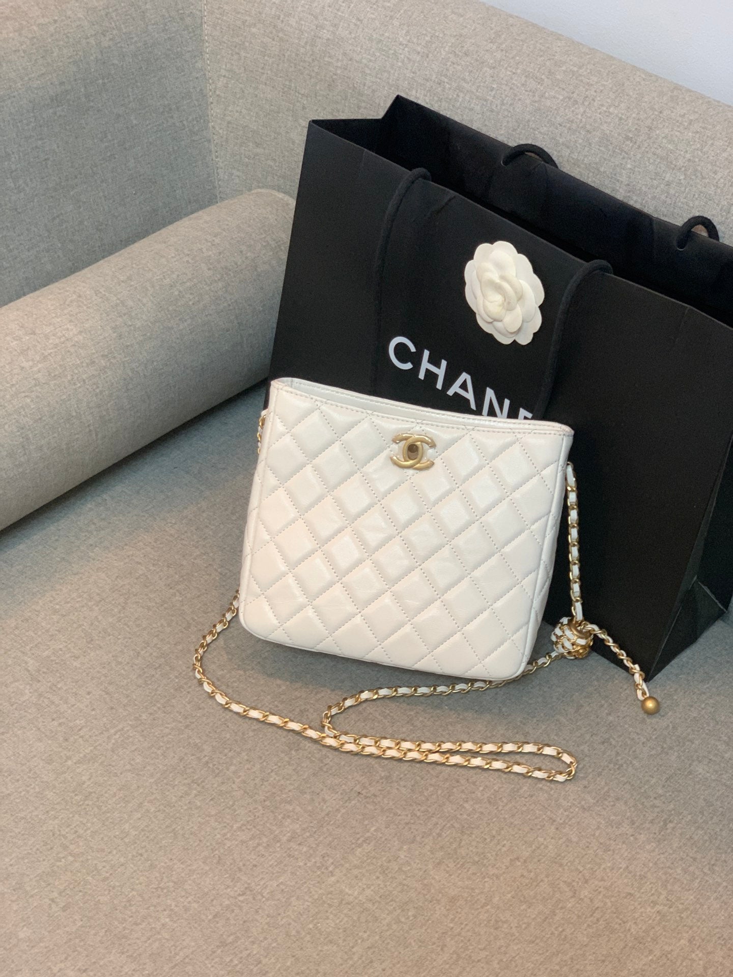 ChanelHobo Handbag White Bag For Women 16cm/6in